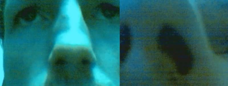 Close-up research – video