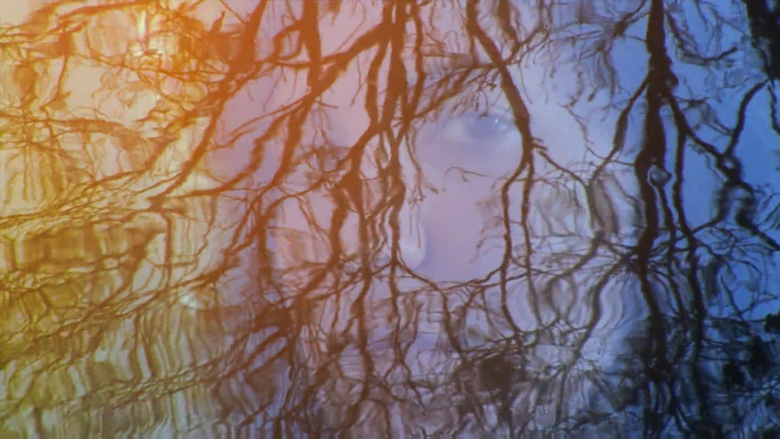 Earth is watching you – short film