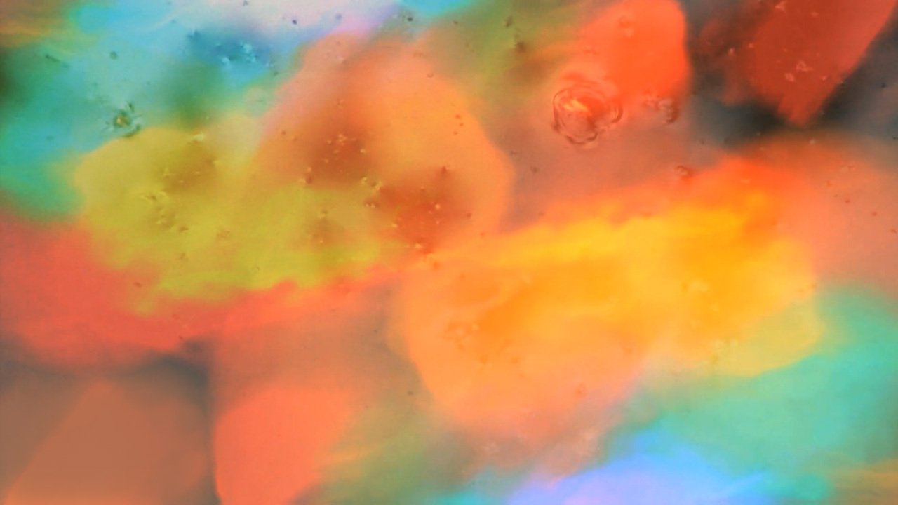 Lotus Lake – video