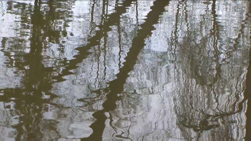 Moment of reflection